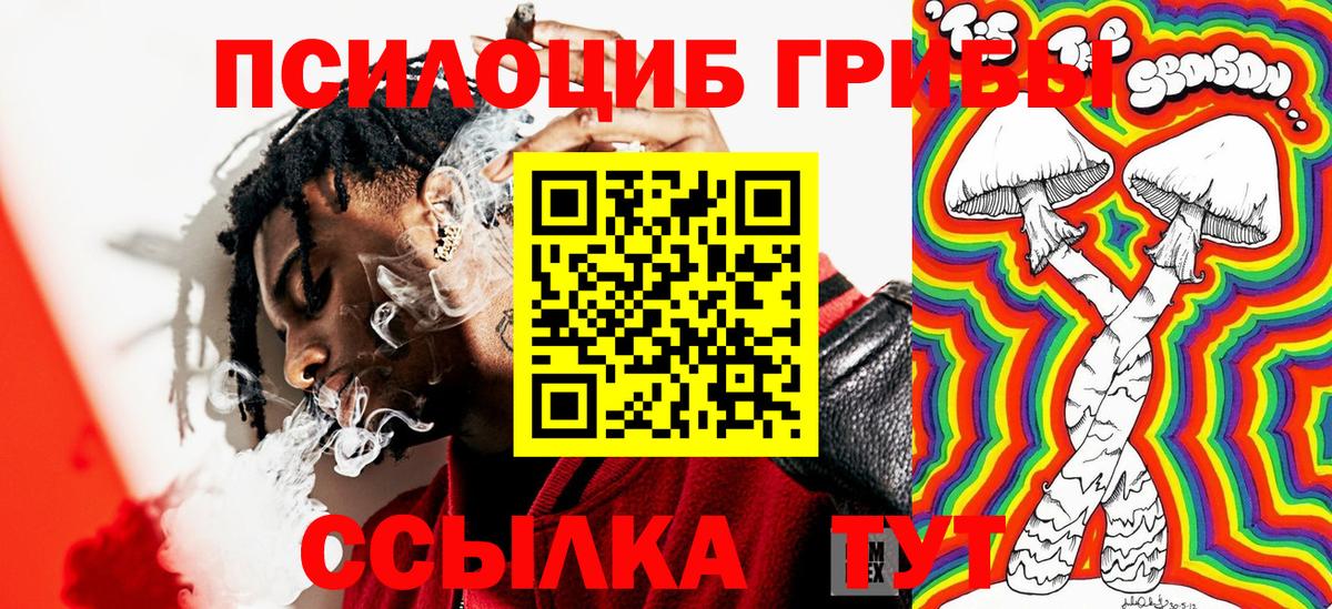 Псилоцибиновые грибы GOLDEN TEACHER Киржач