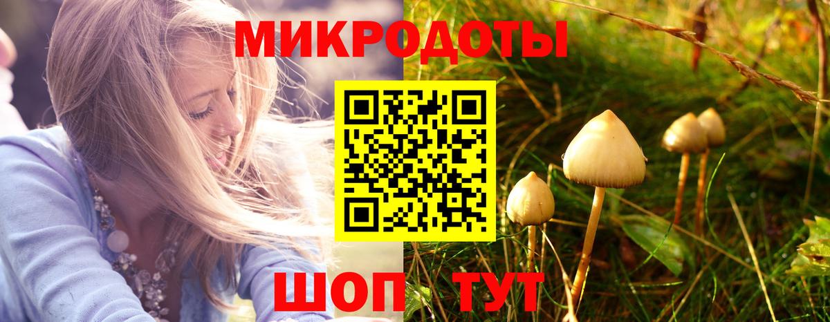 Галлюциногенные грибы Magic Shrooms  Вход с VPN  где купить   Киржач 